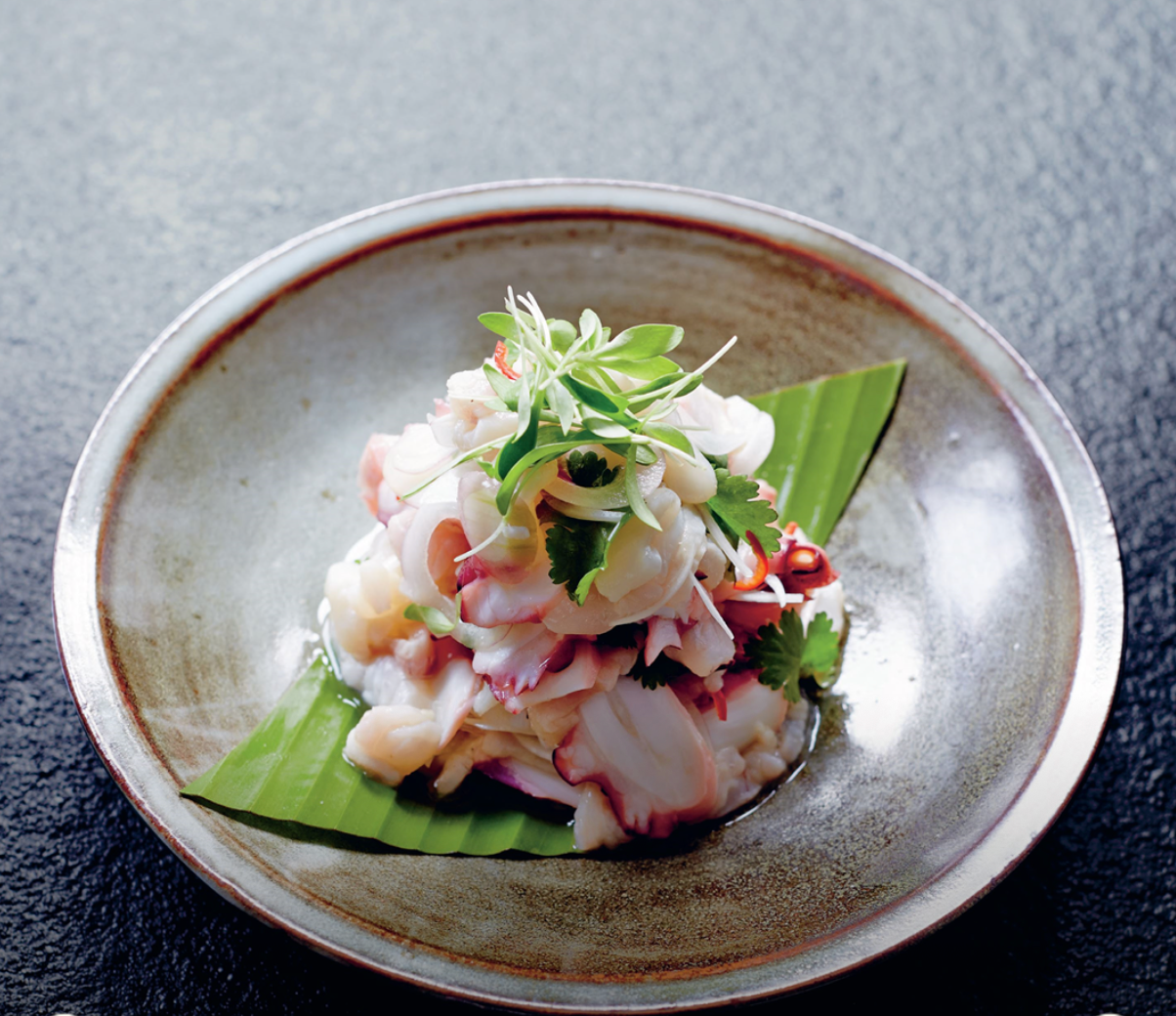 Ceviche of Octopus, Scallops & Snapper