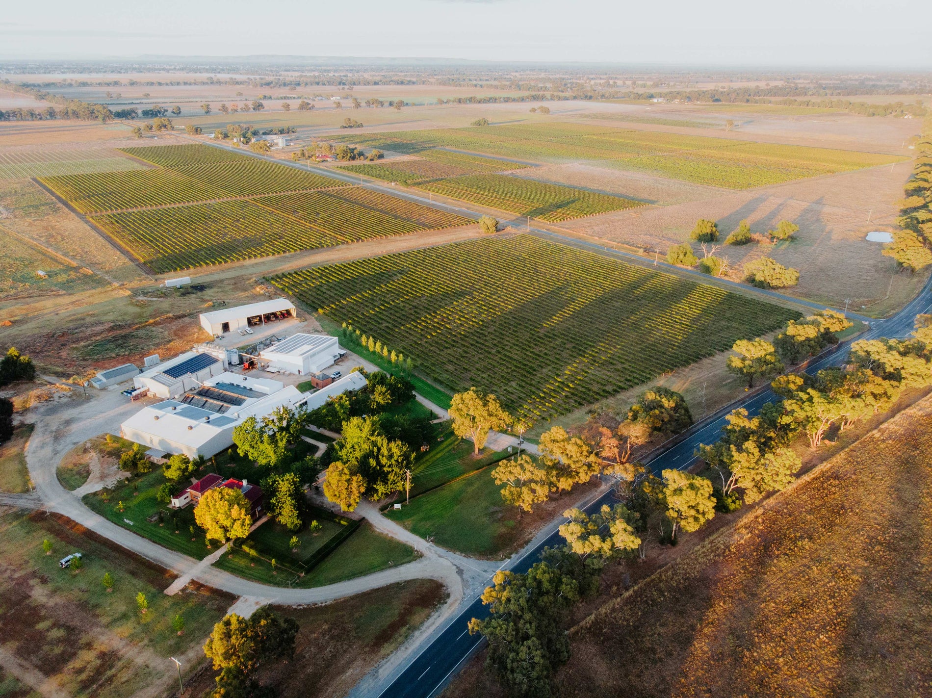 Hand Picked Shiraz 2024