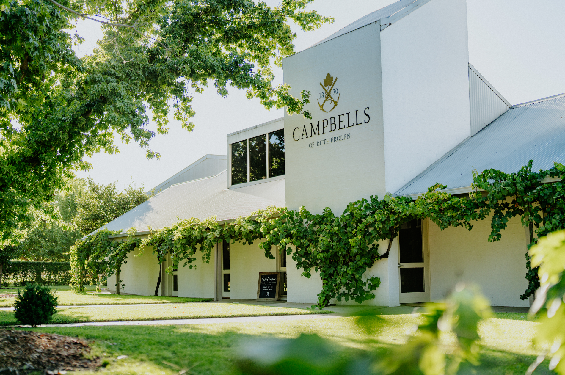 Spring Cellar Club Information for members