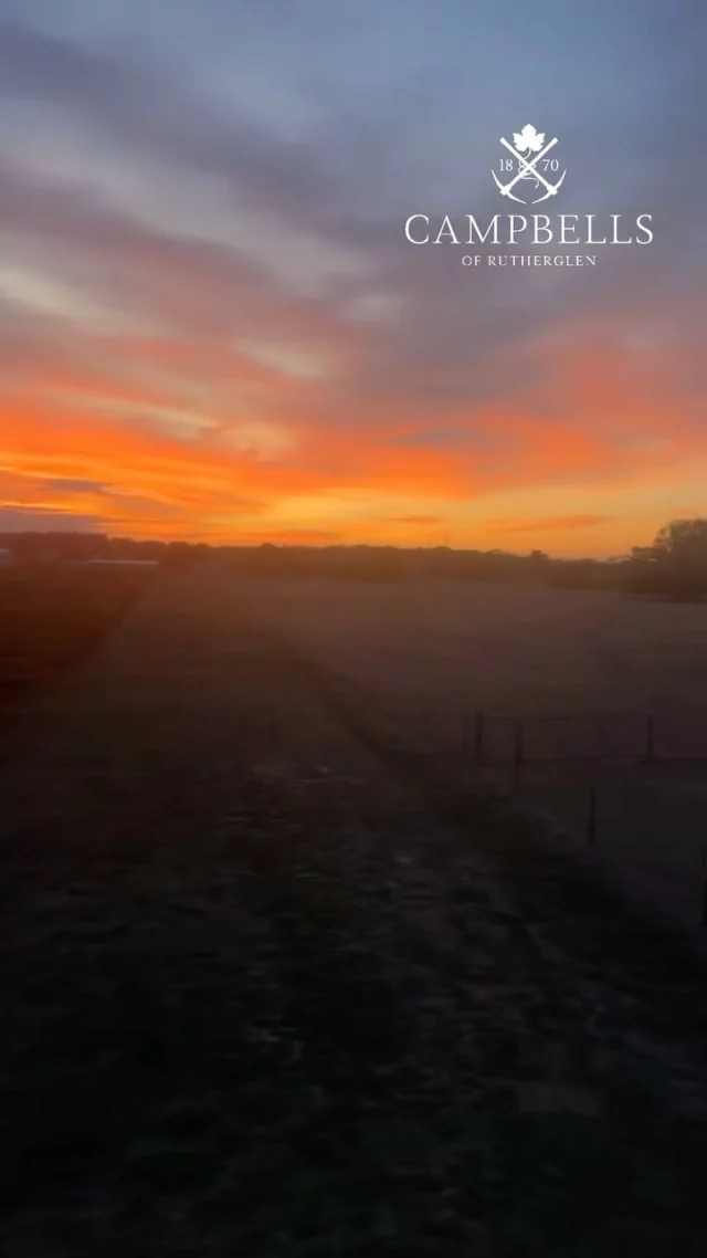 We have enjoyed some cracking mornings here in Rutherglen. Thanks to our Machine Operator, Tanner, for capturing the moment 🫶